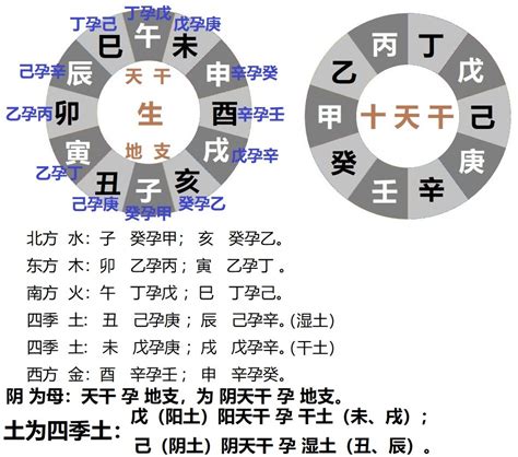 癸己|癸巳